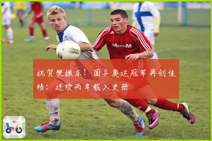 祝贺樊振东！国乒奥运冠军再创佳绩：连续两年载入史册